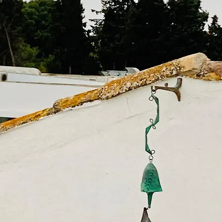 Casa Pasargada 펜션 *